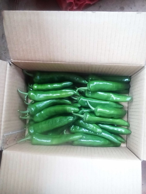 Green Serenade Chillies from Kenya